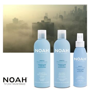 NOAH – Shampooing Détox ANTI POLLUTION au Moringa et Extrait d'Aloe Vera 250ML 2