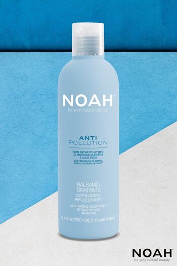 NOAH – Baume Hydratant ANTI POLLUTION – Démêlant et Équilibrant 250ML 2