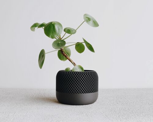 Black Apple Planter - M