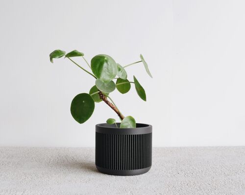 Black japan planter - l