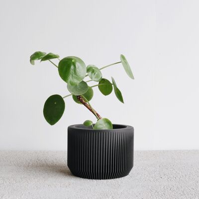 Black praha planter - m