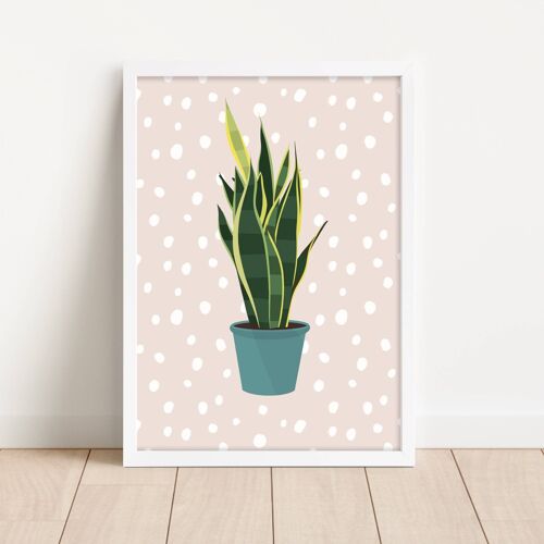 Snake Plant Wall Art Print - 2