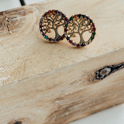 Solta Earrings