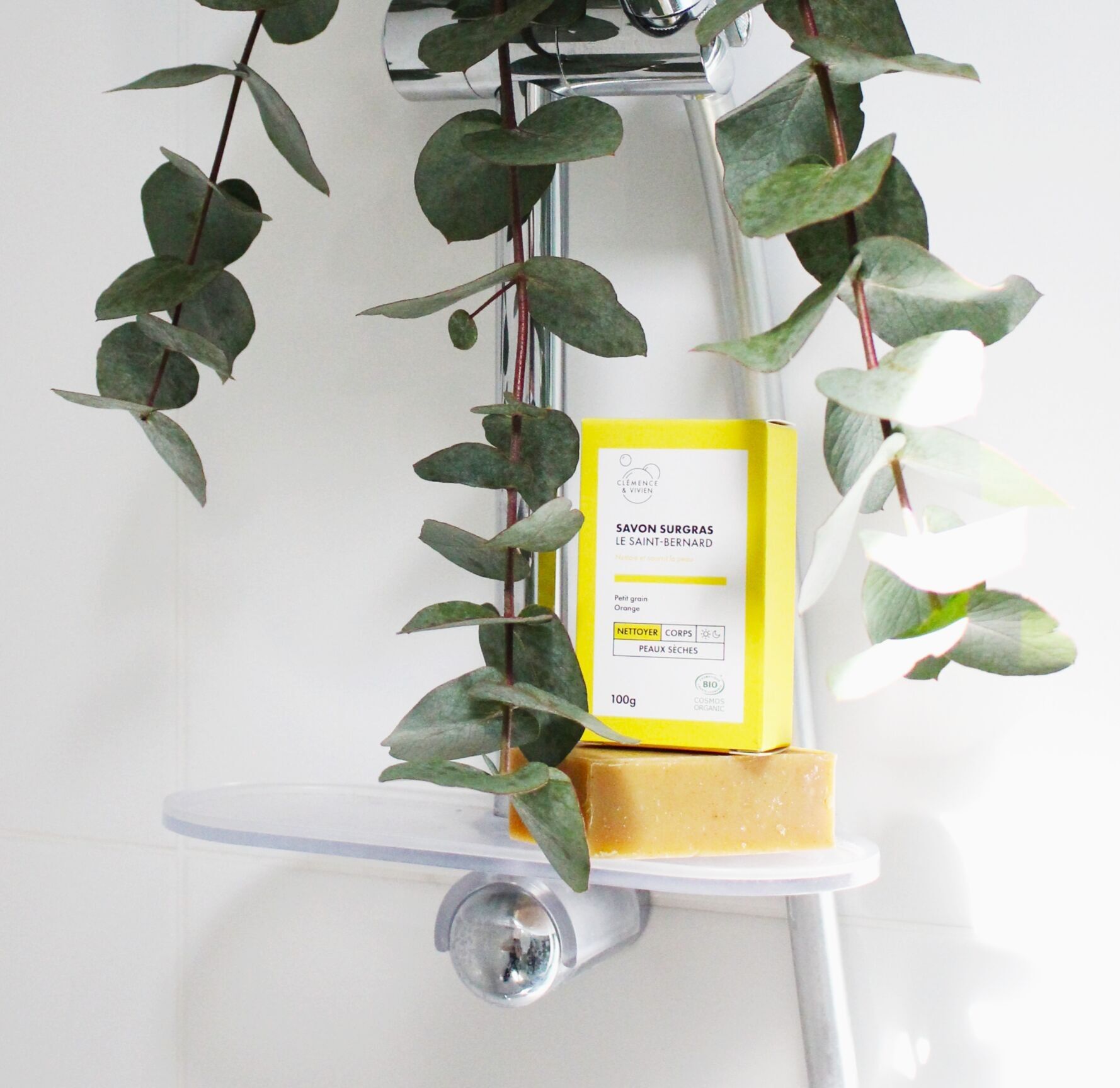 Kalte Seife der Bernhardiner