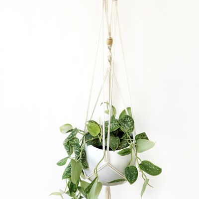 Plant hanger