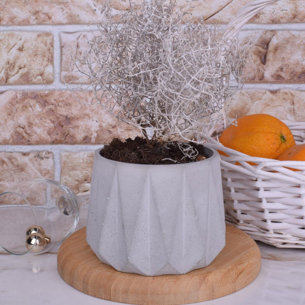 Pflanztopf Blumentopf "Moni" Beton Übertopf Ø12cm