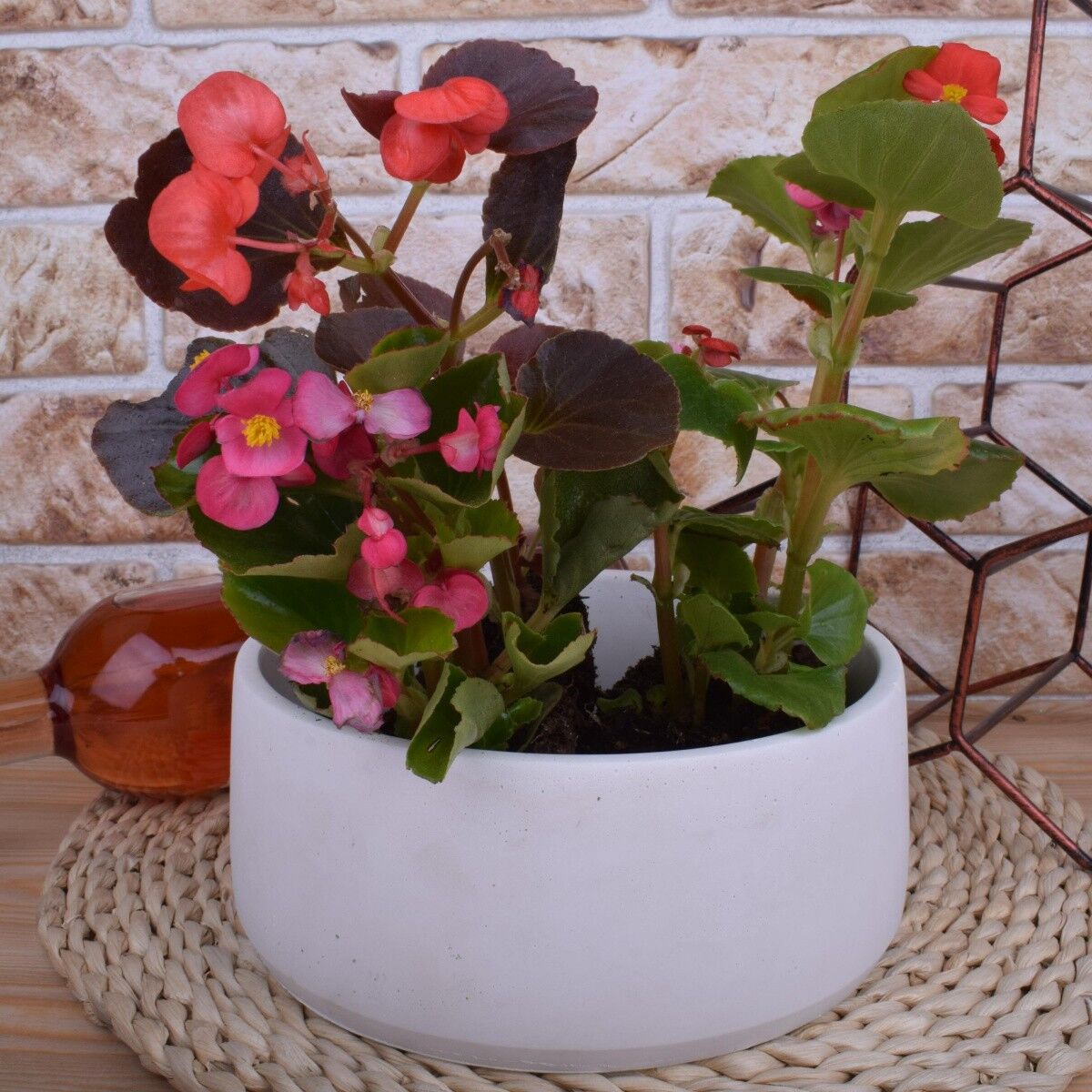 Pflanztopf Blumentopf "Marie" Beton Übertopf Ø20cm Unikat