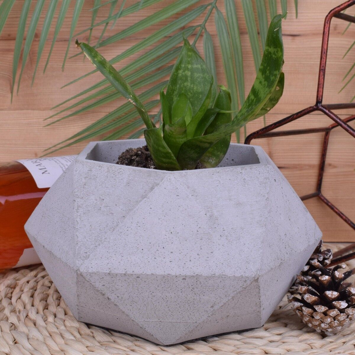 Pflanztopf Blumentopf "Kelly" Beton Übertopf Ø11cm Deko
