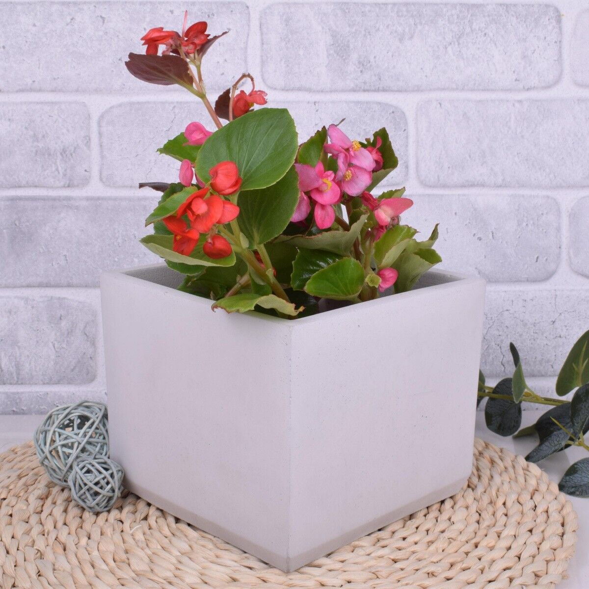 Vaso da fiori vaso da fiori "Mira" cachepot in cemento 15x15cm decorazione