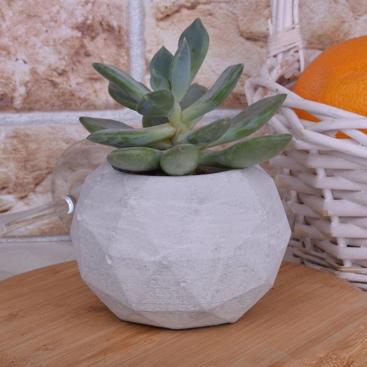 Vaso da fiori vaso da fiori "Maja" decorazione di design per fioriera in cemento