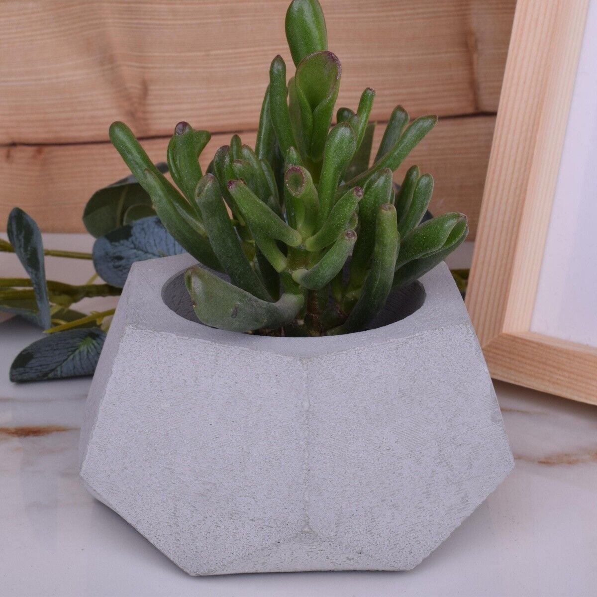 Vaso da fiori vaso da fiori "Lia" decorazione di design per fioriera in cemento