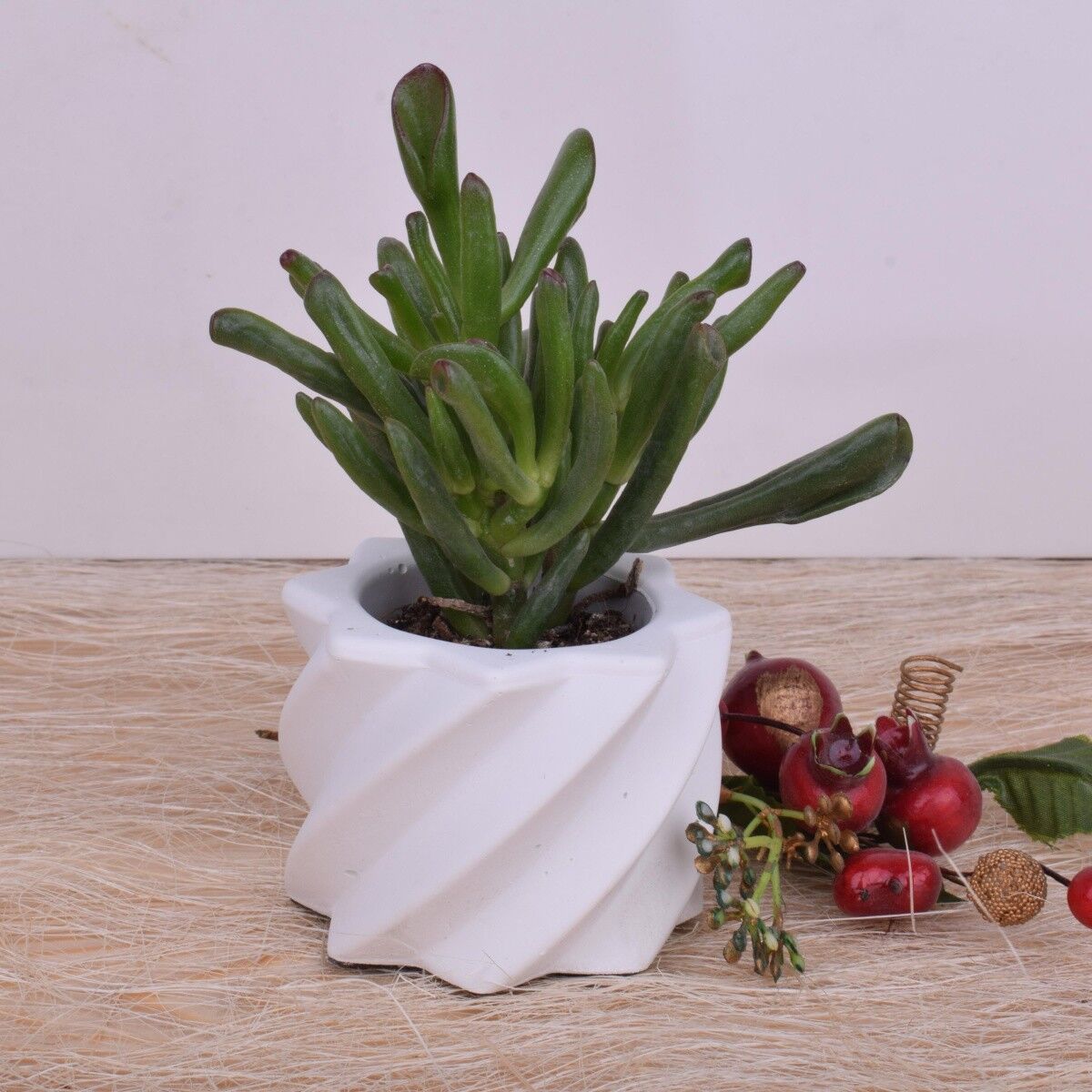 Portavasi fioriera "Spiral" (set di 2) cachepot bianco Ø7cm