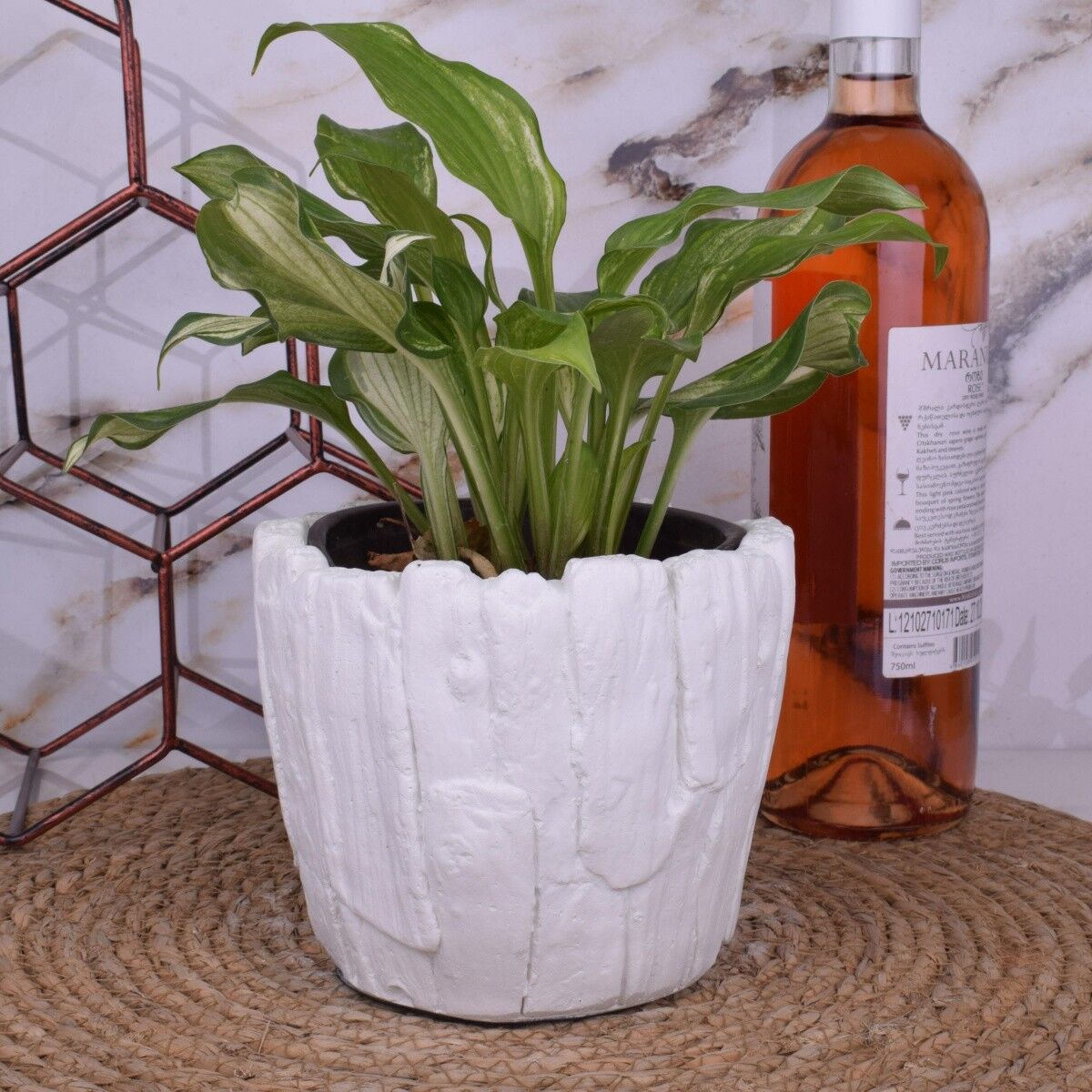 Portavasi fioriera "Forest Wood" cachepot bianco Ø14cm