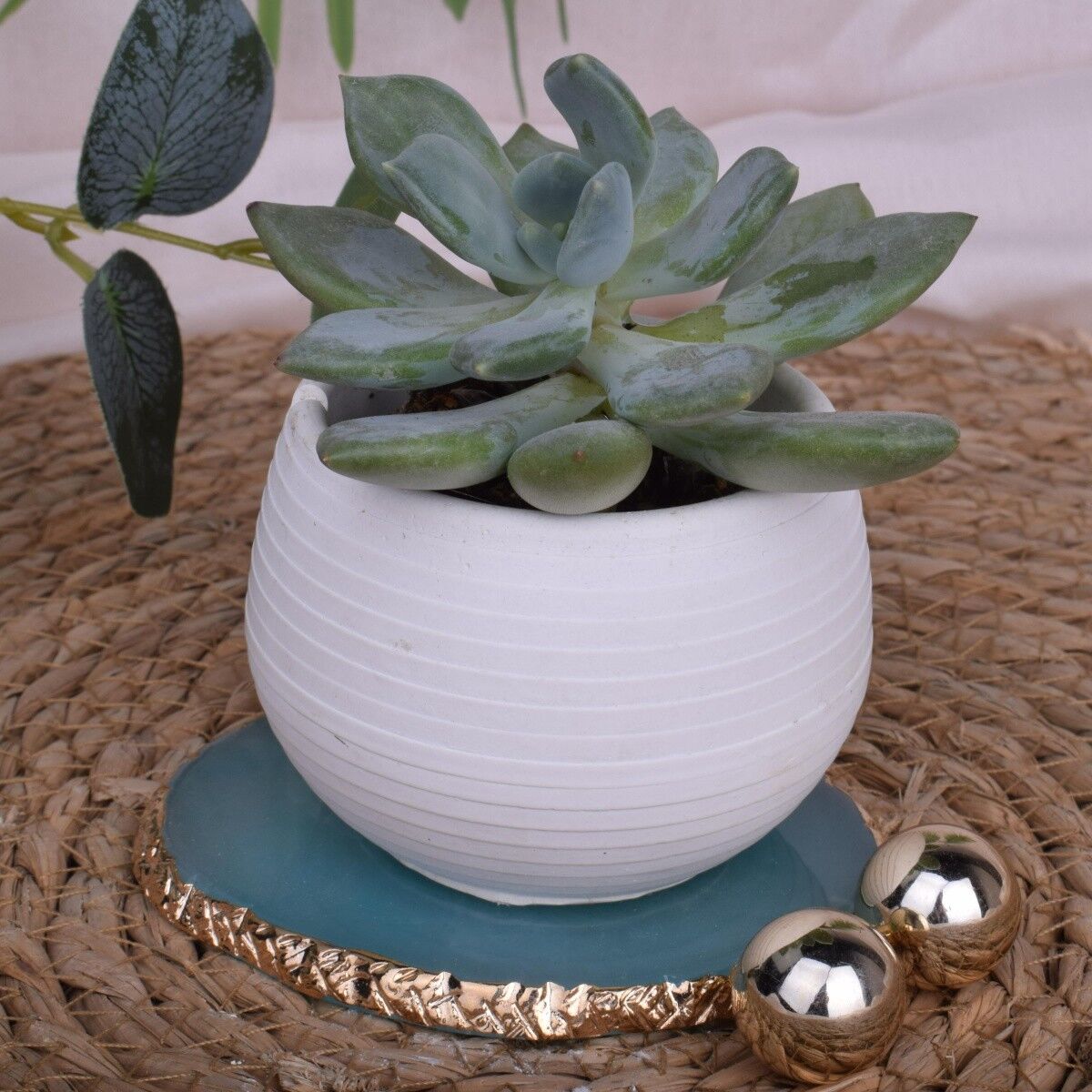 Lanterna portacandele a lume di candela "Roma" vaso di fiori decorativo bianco