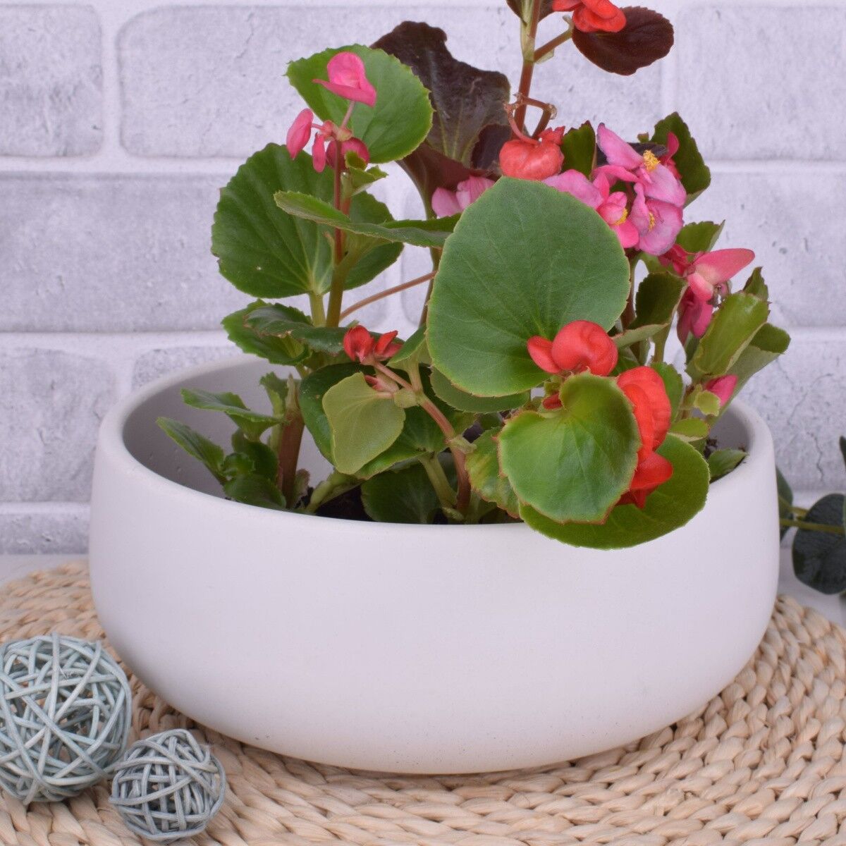 Ciotola decorativa "Ellie" mensola per fiori da soggiorno di design bianco