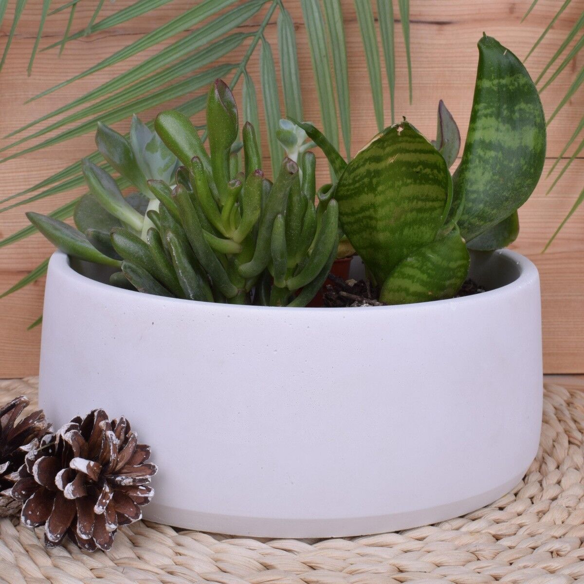 Portavasi fioriera "Marie" cachepot bianco Ø20cm unico