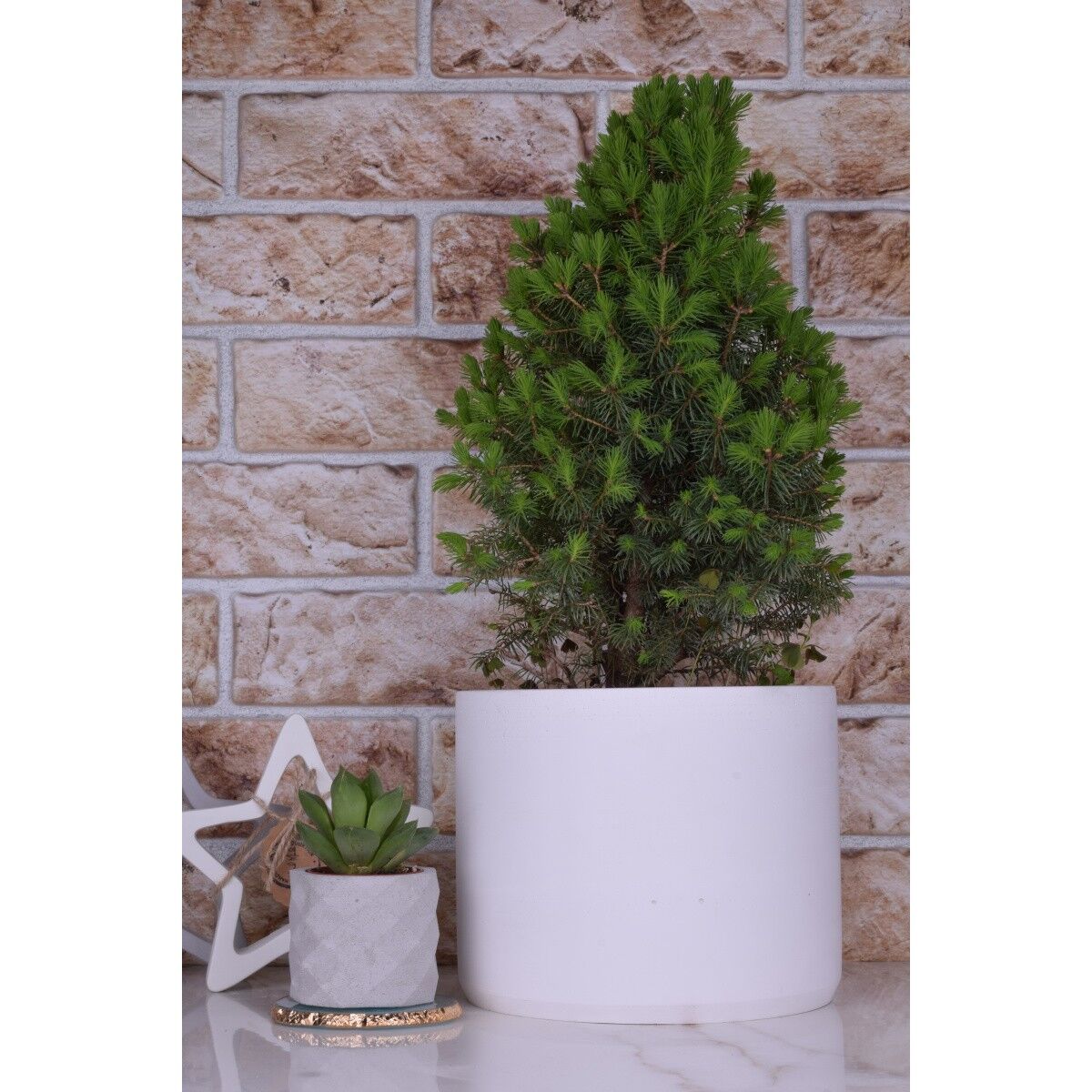 Portavasi fioriera "Lucy" cachepot bianco Ø19cm decoro