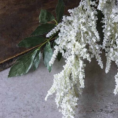 Astilbe Cream - Abigail Ahern