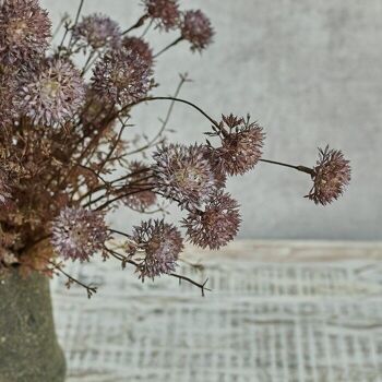 Melaleuca Purple - Tige artificielle - Abigail Ahern 4