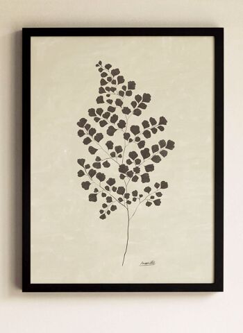 Affiche Adiantum Noir - 30x40 cm 1