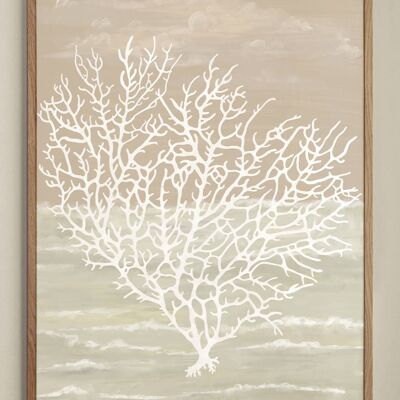 Affiche Corail De La Mer - 45x60 cm