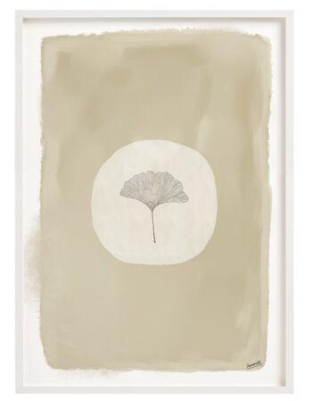 Affiche Ginkgo Blanc - 50x70 cm