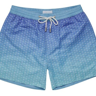 Royall Ombre Luca Mid Length Men's Swim Shorts