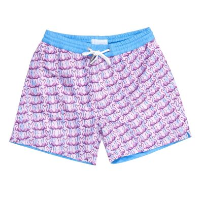 Florida Flamingo Luca Mid Length Men's Swim Shorts