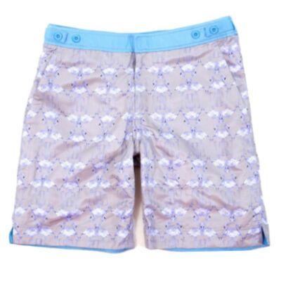 St Lucia Billy Long Length Men's Swim Shorts