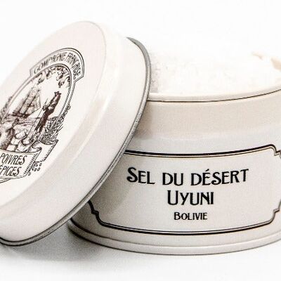 Uyuni desert salt