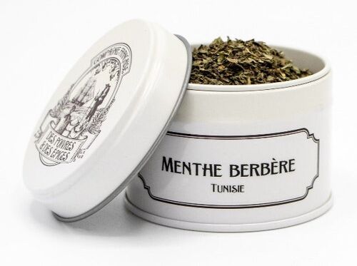 Menthe Berbère