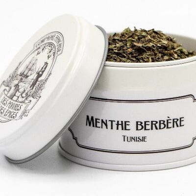 Berber mint