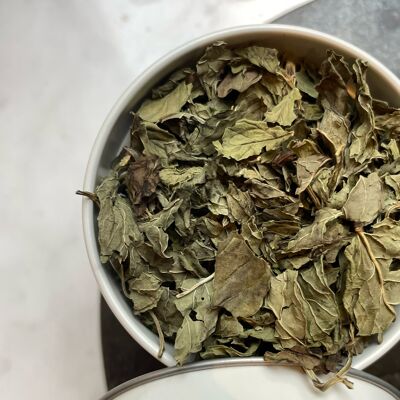 Menthe Berbère