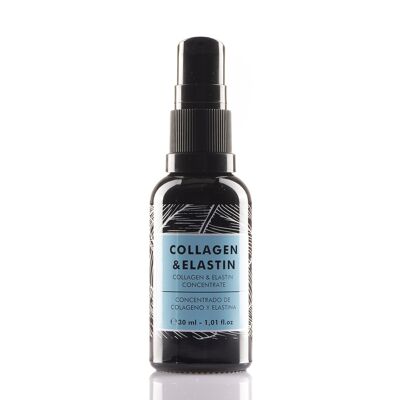 COLLAGEN AND ELASTIN CONCENTRATE 30 ML