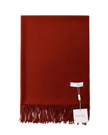 Emilie Echarpes - Echarpe Pashmina Châle Cachemire - Marron - 200*63CM 1