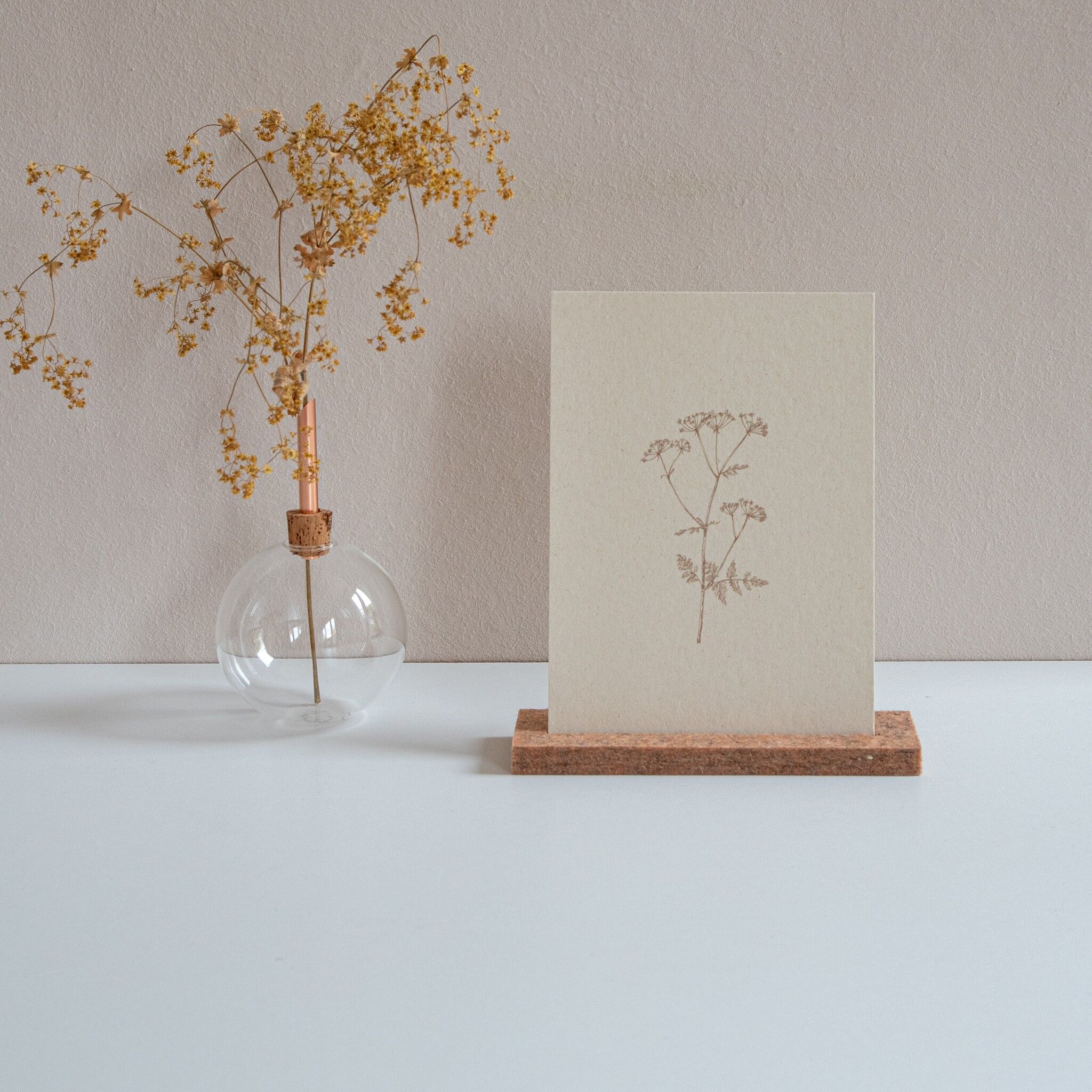 Cardholder | earth medium