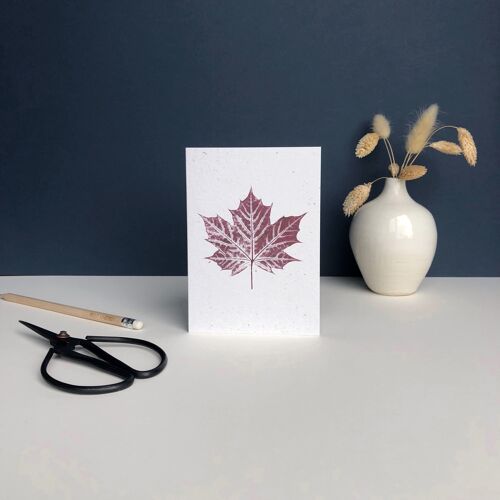 Plant Print greeting card | Norway Maple Leaf