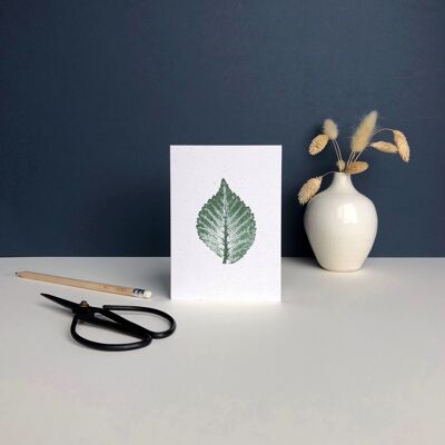 Plant Print greeting card | Elm tree leaf