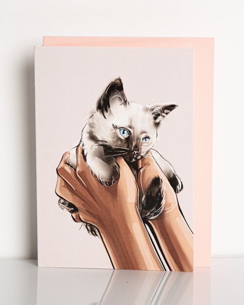 carte de vœux chat