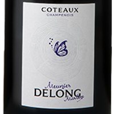 Coteaux Champenois Meunier - Bottle 75cl