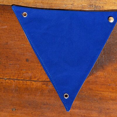 Blue Triangle