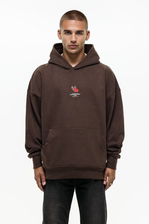 Sustainable Alpha Brown Butterfly Hoodie