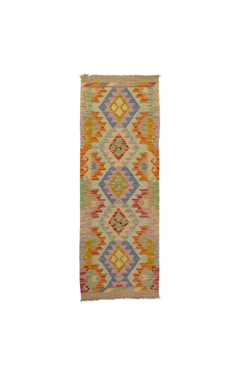 Autentik Kilim Kelem Original Fait Main 150x50 CM STYLE Classique - FACILE À NETTOYER 1