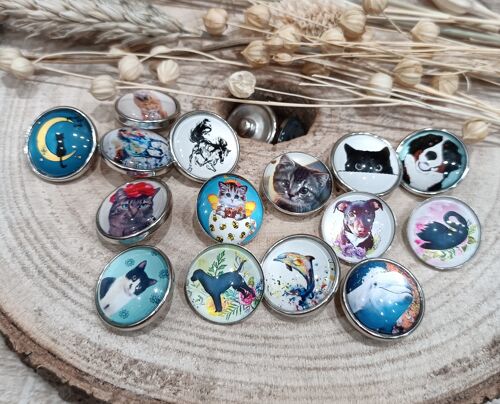 Lot de 6 pressions Cabochons collection Animaux