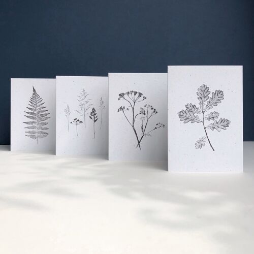 Mixed Monochrome Botanical Greeting Card Set  | 4 Pack