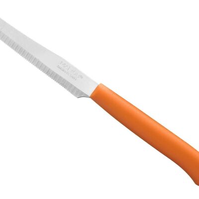 Confezione 6 coltelli tavola Color Knife con lama seghettata in acciaio inox e manico arancio 