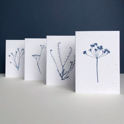 Mixed Botanical Blue Wildflower Greeting Card Set  | 4 Pack