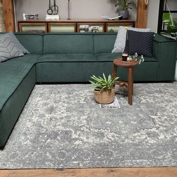 Tapis Vintage Gris/Vert Shiva 160 x 230 cm 2