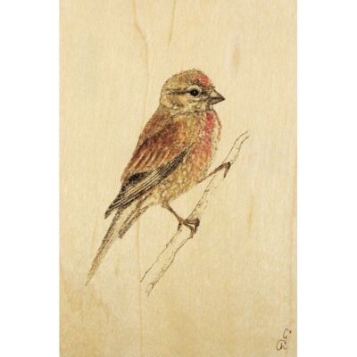 Postal de madera- pájaro negro y colores rosa