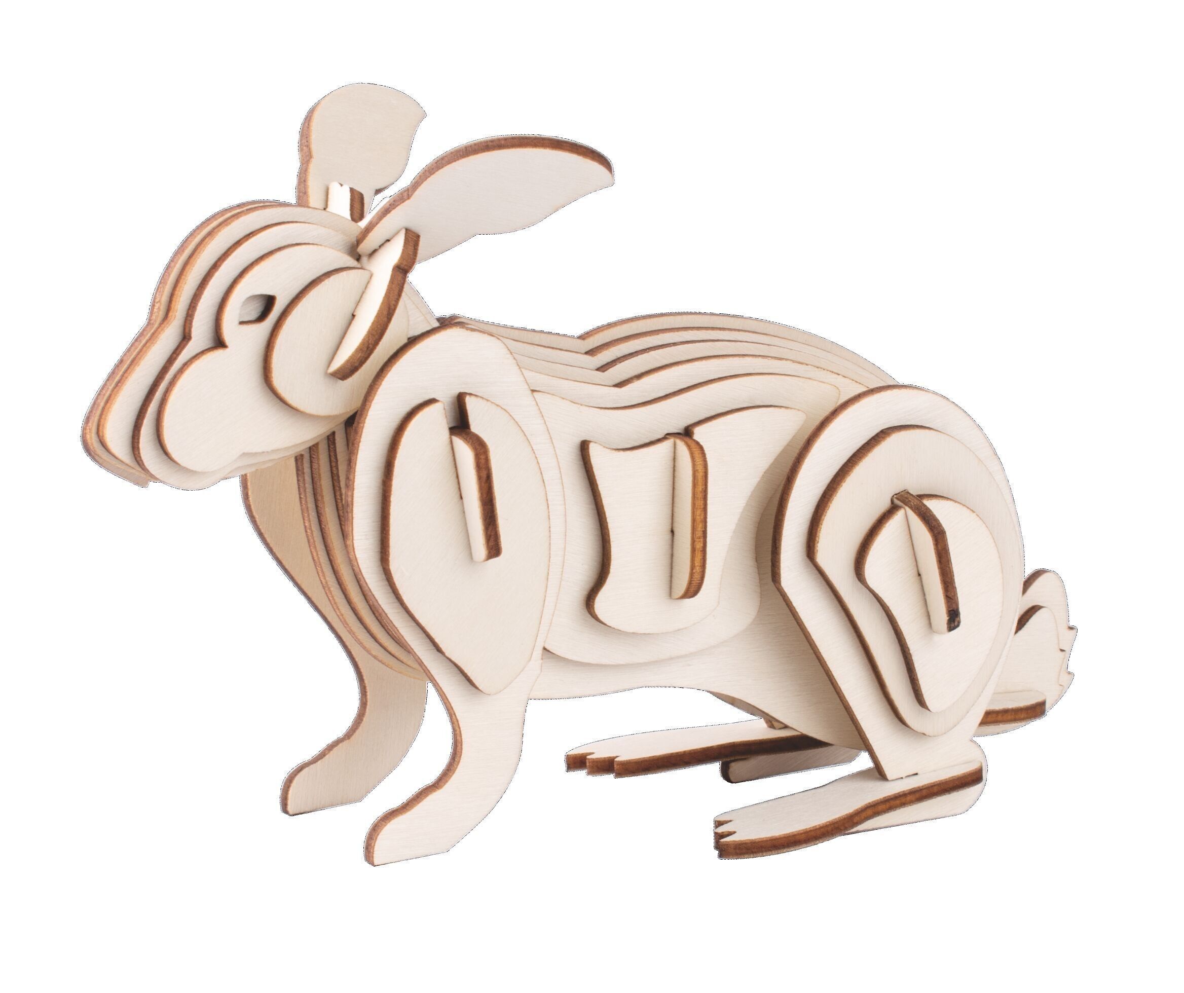 Building Kit Rabbit